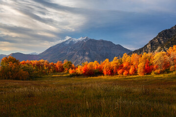 autumn in the mountains