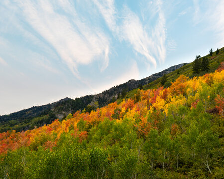 autumn landscape in the mountains