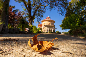 Pałac Monserrate w Sintra, Portugalia w jesiennej odsłonie. Na pierwszym planie jesienny liść, w tle Pałac Monserrate. - obrazy, fototapety, plakaty