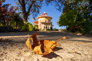 Pałac Monserrate w Sintra, Portugalia w jesiennej odsłonie. Na pierwszym planie jesienny liść, w tle Pałac Monserrate. - obrazy, fototapety, plakaty