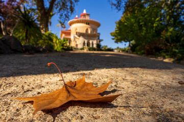Pałac Monserrate w Sintra, Portugalia w jesiennej odsłonie. Na pierwszym planie jesienny liść, w tle Pałac Monserrate.