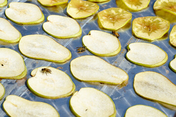the process of drying apples and pears. harvesting of dried fruits for the winter