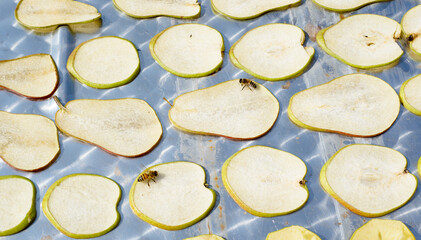 the process of drying apples and pears. harvesting of dried fruits for the winter