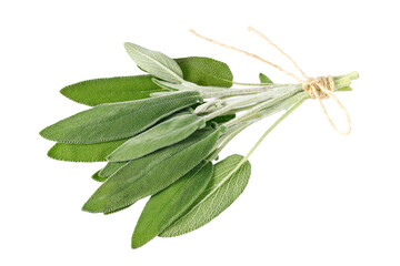 Fresh sage herb bunch flying isolated on white background. Salvia officinalis (lat.).