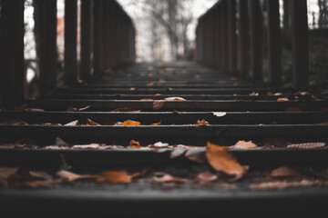 autumn leaves on the stairs