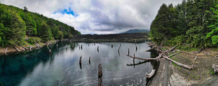 Bosque sumergido en Laguna Arco&iacute;ris, Parque Nacional Conguill&iacute;o, Chile