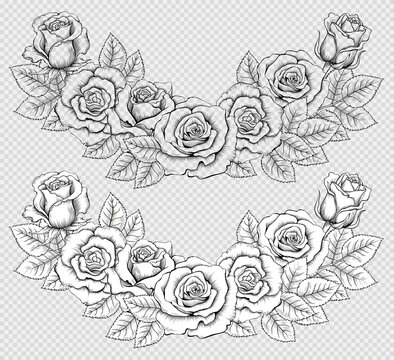 Semicircular Composition of Vintage Hand-Drawn Roses. Black and White and Contoured Engraved Illustration in Retro Style. Vector Image Isolated on the Imitation of Transparent  Background