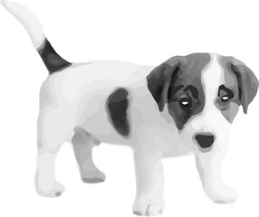 perro blanco con manchas negras posando. Vector sin fondo, fondo transparente