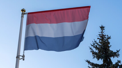 National flag of Holland on a flagpole in front of blue sky with sun rays, lens flare and tree. Diplomacy concept.