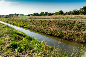 Stream in the countryside in the municipality of Piombino, an area called 