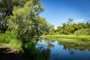 Wonderful Odra river passing through the ancient forest of Turopoljski Lug, famous hunting grounds near Zagreb city, Croatia
