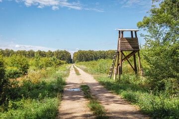 Lonely, wooden hunting tower rising above dirt road passing through ancient hunting grounds of...