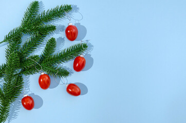 Fir branches with cherry tomatoes as Christmas or New Year decoration on pastel blue background. Creative design for web banner or card or invitation. Copy space. Flat lay