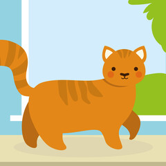 pets cat at home