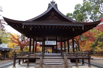  Hai-den Hall and autumnal leaves in the precincts of Nashinoki-jinjya Shrine in Kyoto City in Japan 日本の京都市にある梨木神社境内の拝殿と紅葉
