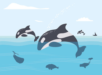 jumping killer whales