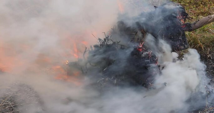 Air pollution ecological problem with burning old dry grass in garden flaming dry grass on a field the natural disaster