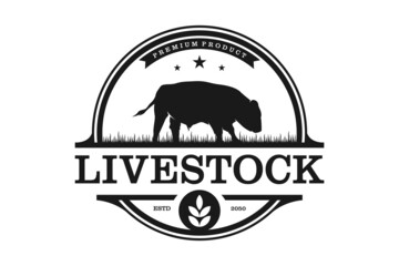 Vintage Angus Cattle Beef logo design inspiration