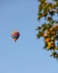 hot air balloons