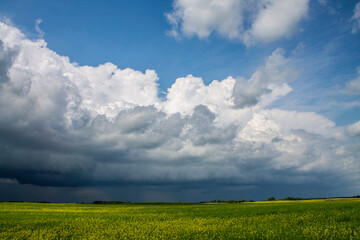 Fototapeta premium Stormy Weather