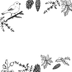 Christmas card hand-drawn vector cone branches Christmas tree bird sharp leaf