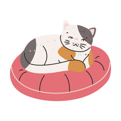 cat sleeping on cushion