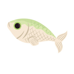 green and gray fish