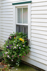 A flower box of white, purple, and yellow blooming flowers.  The wooden flower box hangs under an...