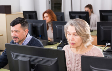 Young and mature men and women coworkers sitting and working on computers in firm office