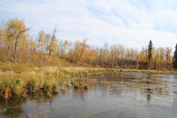 Autumn On The Forest Edge, Elk Island National Park, Alberta