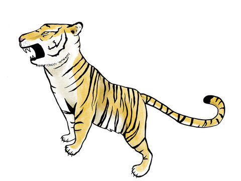 吠える Images Browse 1 364 Stock Photos Vectors And Video Adobe Stock