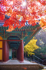 Autumn temple with red maple leaves