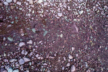 Looking down on various rocks and pebbles at Avalanche Lake in Glacier National Park