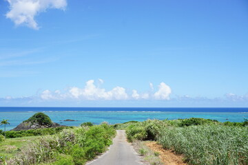 グリーンエネルギー。海に続く一本道