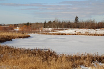 Frozen Lake
