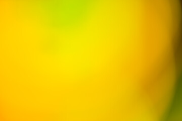 Vivid blurred colorful wallpaper background