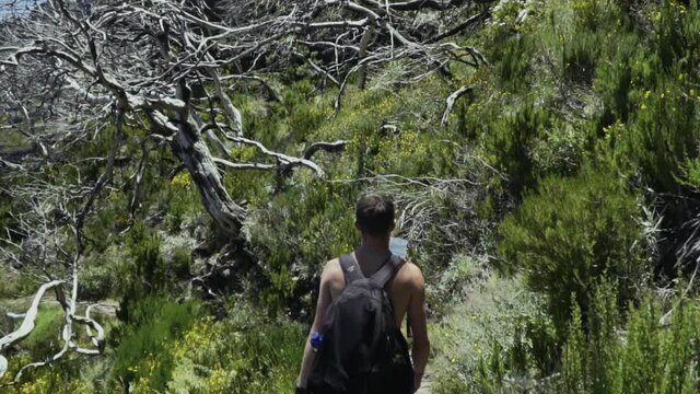 Panning down to hiker walking along PR1 Pico do Arieiro - Pico Ruivo trail