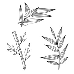 Bamboo set. Tree, birch and leaves sketch drawing. Botanical black and white simple line art. Nature doodle artwork. Vector illustration
