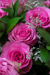 Bouquet of red roses with green lives. Valentine's day or mothers day concept.