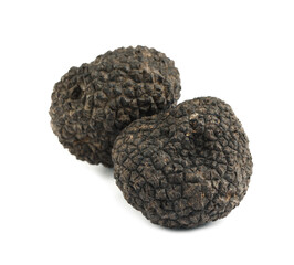 Fresh whole black truffles isolated on white