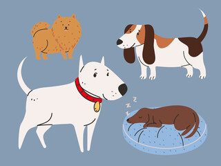 pets animals icons