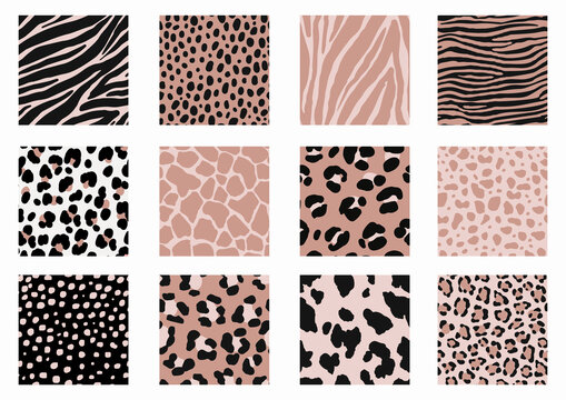Safari - Animal Print vector illustrations. Seamless pattern. Abstract pattern - Zebra, leopard, giraffe