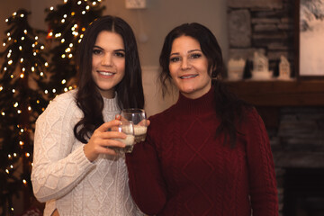 Two women clinking drink glasses at Christmas setting