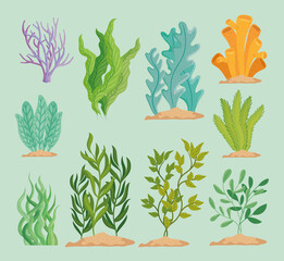 set of seaweed plants