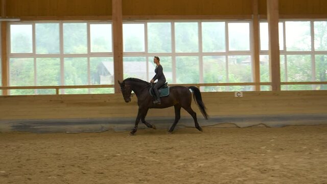 SLOW MOTION: Young Caucasian woman horseback riding indoors warms up her dark brown stallion. Experienced female rider practices trotting with her stunning gelding during indoor flatwork practice.