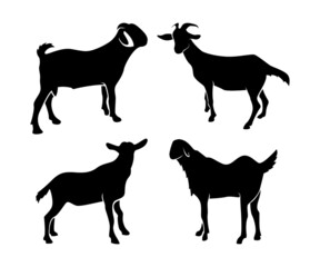 goat silhouettes set, goat silhouettes collections, goat illustration, animals silhouette, mammals
