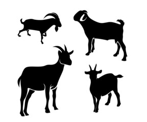 goat silhouettes collections, goat illustration
