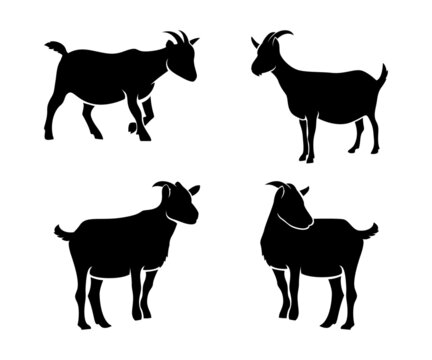 goat silhouettes set, goat silhouettes collections, goat illustration
