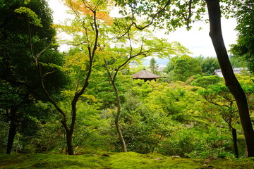日本 京都 銀閣寺 展望所からの景色