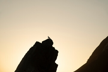 silhouette of a rock 